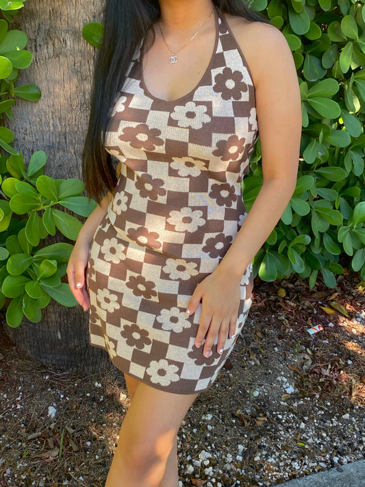 HOLLY DRESS (BROWN)