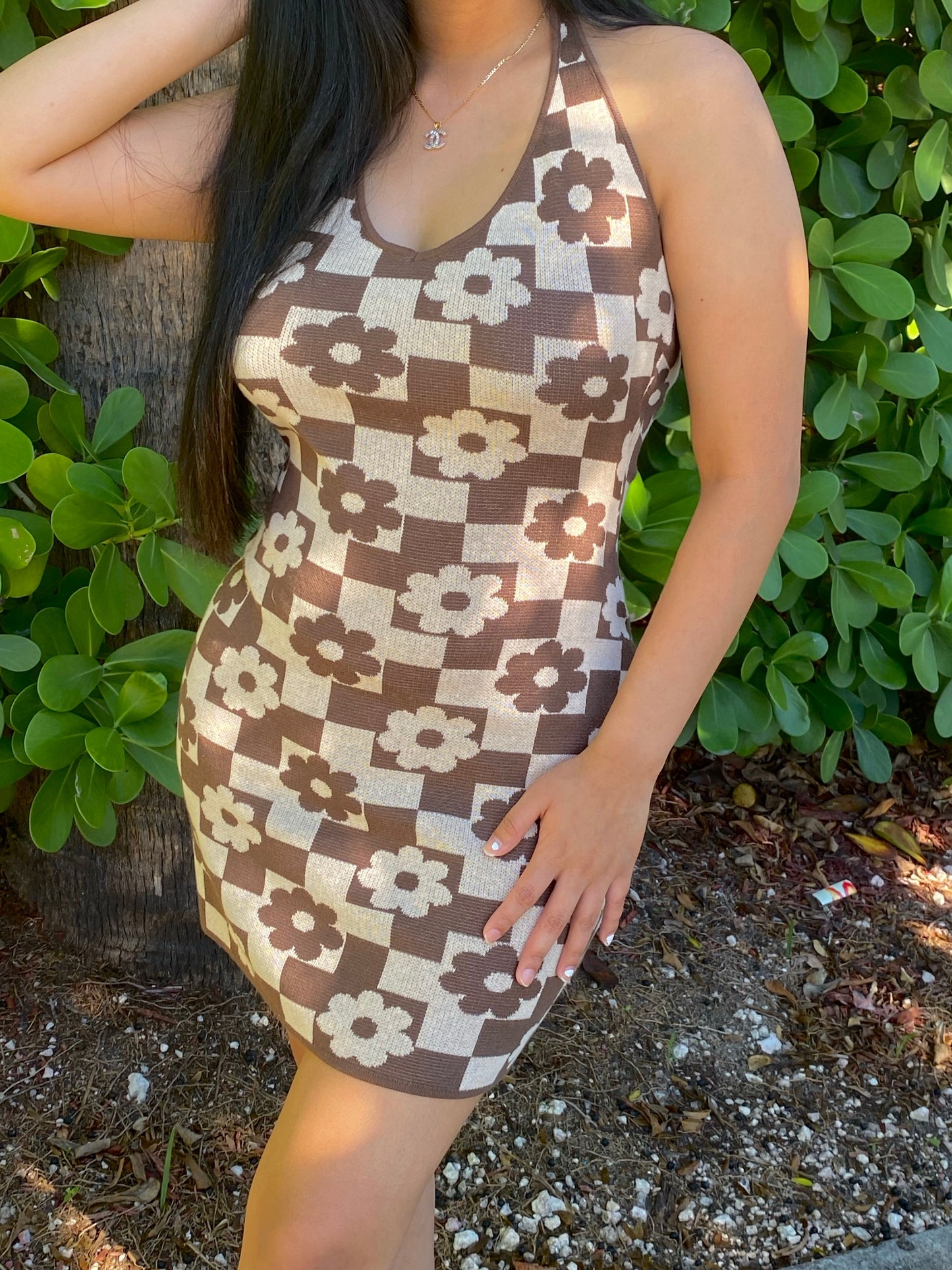 HOLLY DRESS (BROWN)